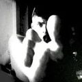 JulesB1