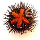 LaFrancesa