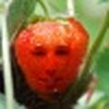 LoicMayeur
