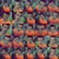 FransDecamps