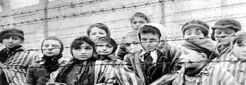 Films sur la Shoah/l'holocauste