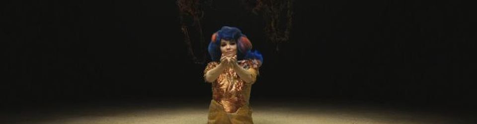 Cover Top Björk