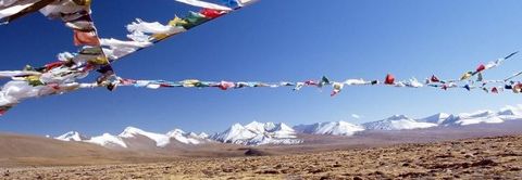 16 films sur le Tibet.