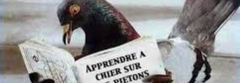 Adaptation(s) de Roman(s) au cinéma