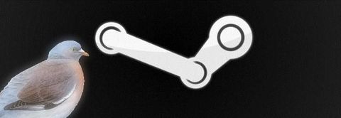 Top des jeux achetés sur Steam mais pas encore joués