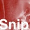 David Snip