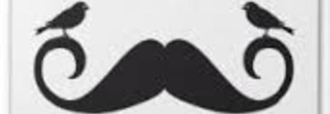 La moustache de Patrick Chesnais