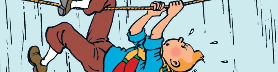 Cover Check-list : Tintin !