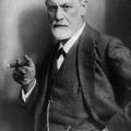 bonfreud