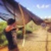francois_gnz
