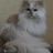 Lydie_Revol