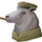 Arn_Acier