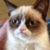 GrumpyCat_Bouhi