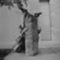 Maud Riebmelas