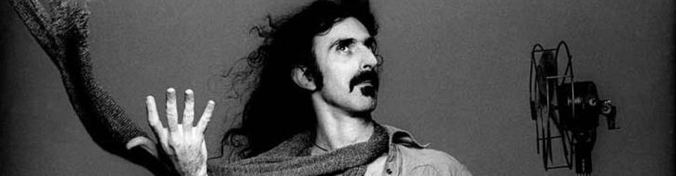 Cover Top 20 Frank Zappa