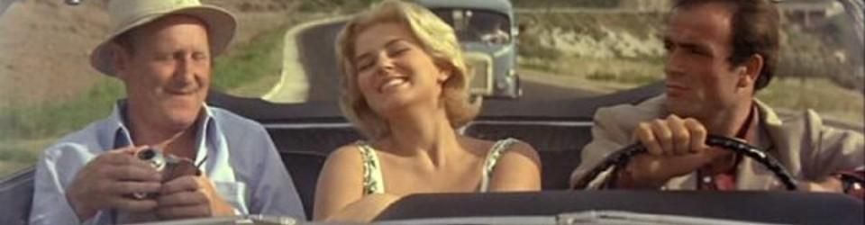 Cover Les meilleurs road movies