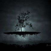 Alec_Amiraly