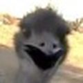 Jon Aristeguy