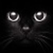 Sandra_Caffin