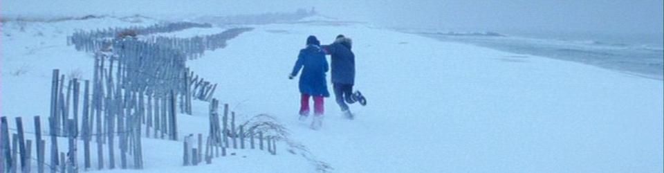 Cover Films vus en 2014 (avec commentaires)