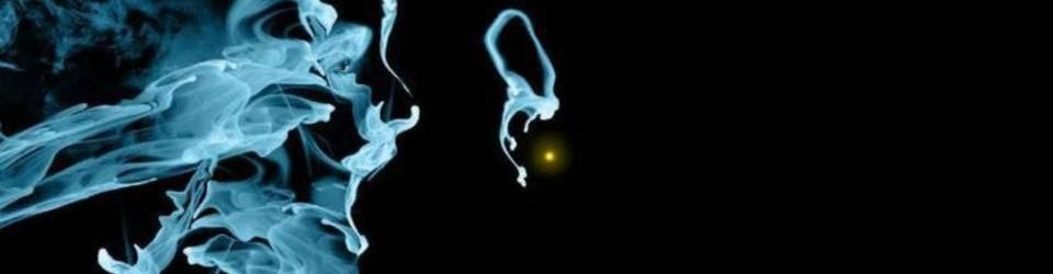 Cover Un max en 1 an