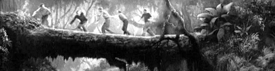 Cover Films avec des arbres qui servent de pont