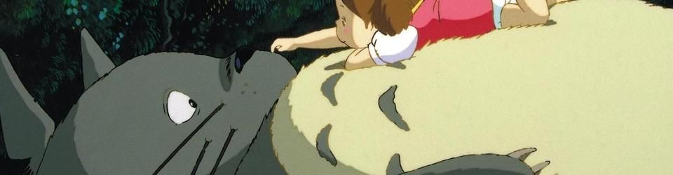 Cover Paramètres à prendre en compte si vous vivez avec un Totoro.