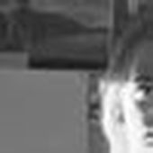 Coline_Rose