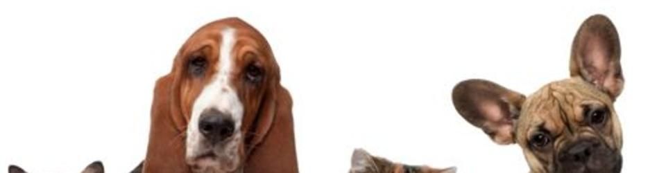 Cover Le Top10 de mon vieux