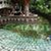 Laurence_Stirt_Baldi