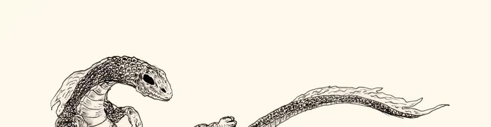 Cover Les meilleurs morceaux pour courir