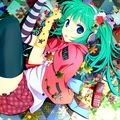 Minchii