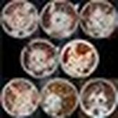 Alexandre_Lamant