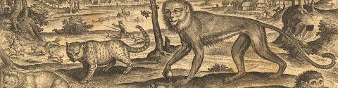 Les meilleurs romans naturalistes