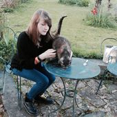 Clementine_Begne