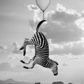 Charlotte Devillers