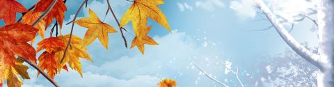 [Liste close] Lectures automne-hiver jusqu'à la fin de l'année 2014