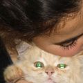 Noor Allam