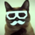 TGWR_the_Hipster_Cat