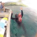 Cugnet Temanaha
