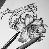 Joris_Morchio