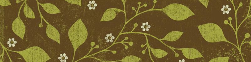 Bannière de Caroline Callut