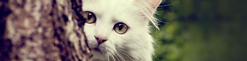 Bannière de Margauxw