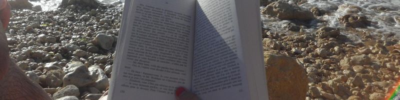 Bannière de Noémie_Debard