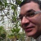 Stéphane_Arnoult
