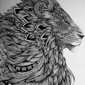 Étoile_Hallucinée_