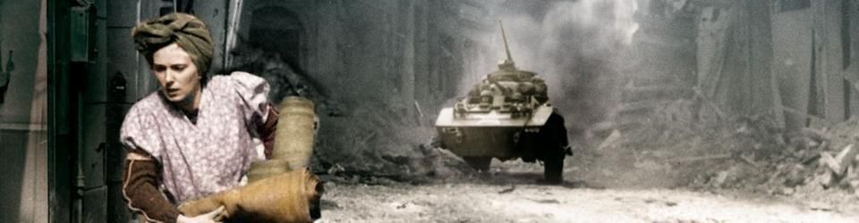 Cover Les meilleurs documentaires historiques