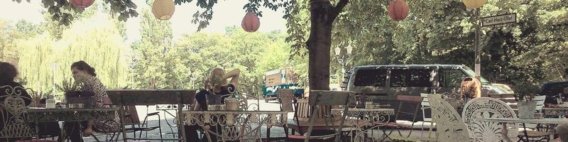 Bannière de Camille Roy