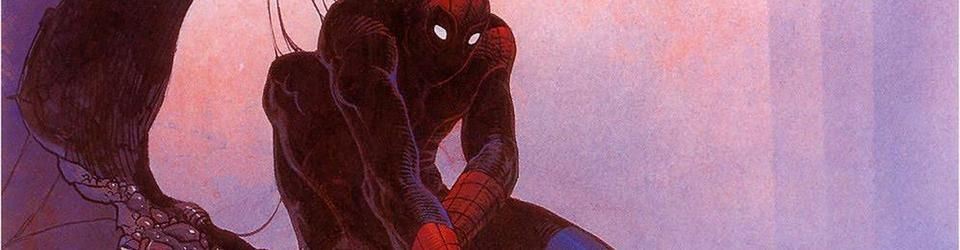 Cover Spider-man : l'intégrale