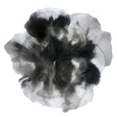 Volute_